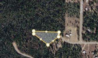 Sandoval Court, Alford, FL 32420