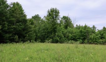 V/L Roseburgh, Alger, MI 48610