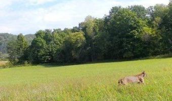 N3953-89 Bear Pen Road, Arkansaw, WI 54721