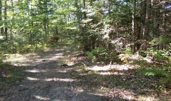 V/L 30AC Lake Winyah Road, Alpena, MI 49707