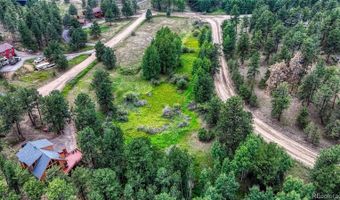 33 Grouse Ln, Bailey, CO 80421
