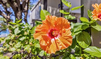 2531 S Kihei Rd C-620, Kihei, HI 96753