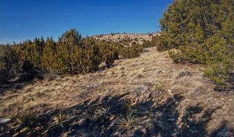 Cedar Grove Rd. lot 73, Beulah, CO 81023