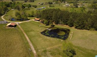 4820 COUNTY ROAD 22, Ashville, AL 35953