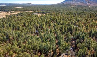 14 County Road 2067, Alpine, AZ 85920