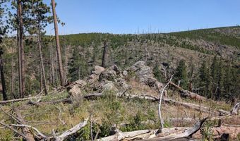 Old Camp Rd, Bellvue, CO 80512