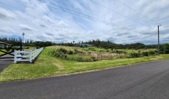 1531 KAUALEHUA Pl, Hilo, HI 96720