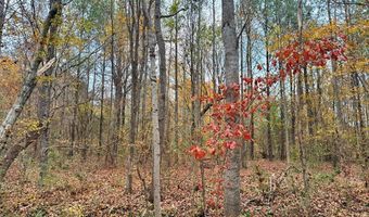 HWY 9, Bruce, MS 38915