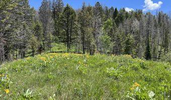 Tbd Nwne DEER HAVEN Road, Bondurant, WY 82922