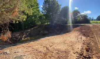 Tract 2 Hwy 51S, Homer, GA 30547