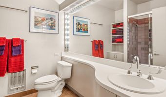 99 Shady Ln, Aspen, CO 81611