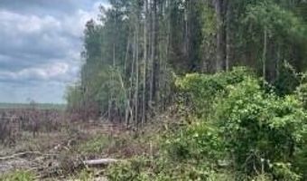 3096 Boise Cascade Rd, Kershaw, SC 29067