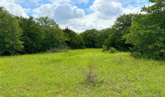 201 Halcyon Rd, Alvord, TX 76225