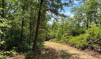 501 Clifftop Trl Lot 26, Andrews, NC 28901