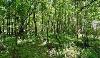 Williams Street, Brookhaven, MS 39601