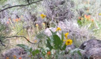 3720 Co. Rd. 118, Alturas, CA 96101