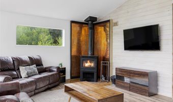 133 GOLD RUN Rd, Alma, CO 80440