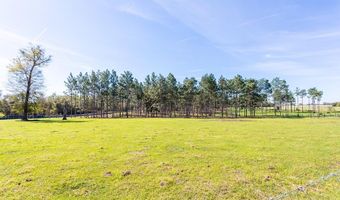 192 Breedlove Rd, Bainbridge, GA 39817
