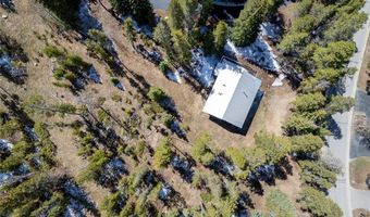 212 Briar Rose Ln, Breckenridge, CO 80424