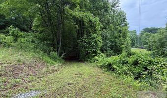 88 Angus Rd, Anawalt, WV 24808
