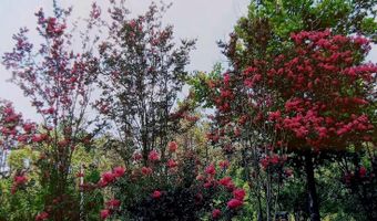 202 Saint John Rd, Brooklyn, MS 39425