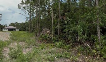 2114 Wellington Ave, Alva, FL 33920