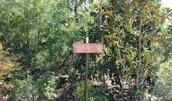 Sycamore Street, Alford, FL 32420