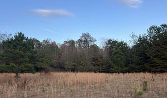 11 Acres RISER MILL ROAD Lot 11 Acres, Alpine, AL 35014