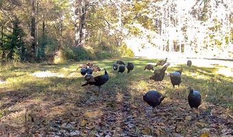 Franklin Dr, Batesville, MS 38606