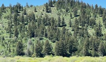 5002 FAIRVIEW SPG CRK Rd, Afton, WY 83110