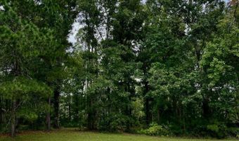 158 Fisher Turnpike Rd Lot 3, Arapahoe, NC 28510