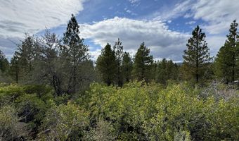 Tanager Drive 10, Bonanza, OR 97623