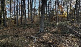 99999 Macedonia Rd, Alexander, NC 28701