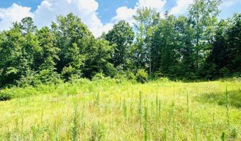 359 Shadows Lawn Dr, Athens, TN 37303