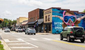 17641 NW 168TH Rd, Alachua, FL 32615