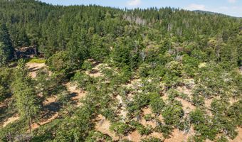 Elkader TL 100 Street, Ashland, OR 97520