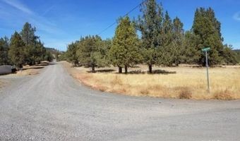 855 County Rd. 248 Pronghorn Rd, Alturas, CA 96101