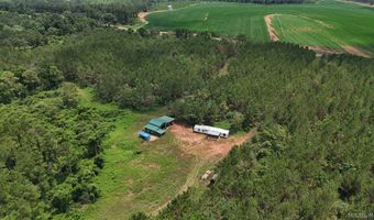 154 County Road 38 Acres, Banks, AL 36005