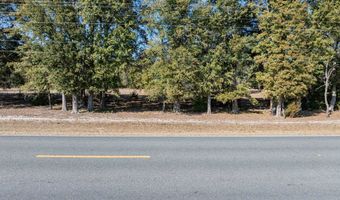County Road 236 lot 2, Bell, FL 32619