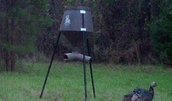 Hwy 131, Baker Hill, AL 36027
