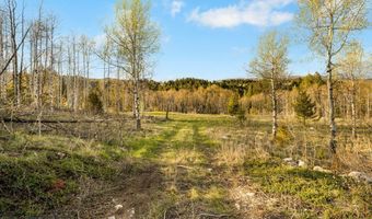 1470 Lime Spur Rd, Anaconda, MT 59711