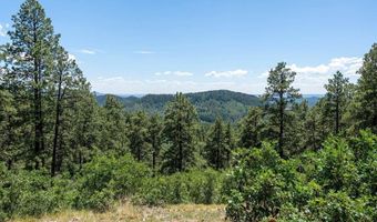220 Hilltop Dr, Bayfield, CO 81122