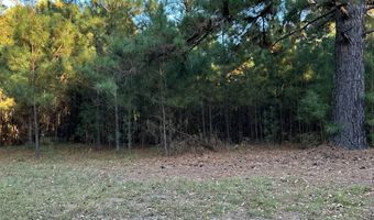 421041 E 1945 Ln, Antlers, OK 74523