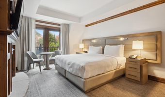 415 E Dean St Unit 36 Week 33, Aspen, CO 81611