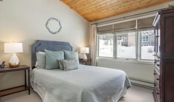 225 Daisy Ln A, Avon, CO 81620