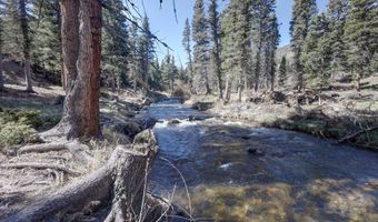 33 Upper Red River Valley Rd, Red River, NM 87558