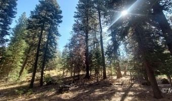 1 Acre McKenney Dr, Alturas, CA 96101