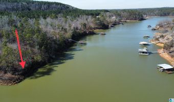 Lot 91 SIPSEY OVERLOOK DRIVE 91, Double Springs, AL 35553