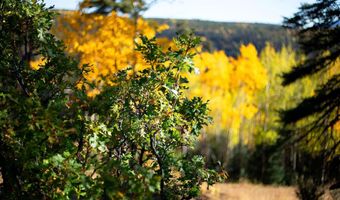 1 The Ranch At Angel Fire, Angel Fire, NM 87710