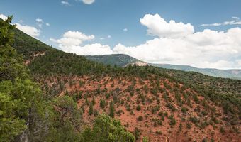 2800 Cedar Dr, Basalt, CO 81621